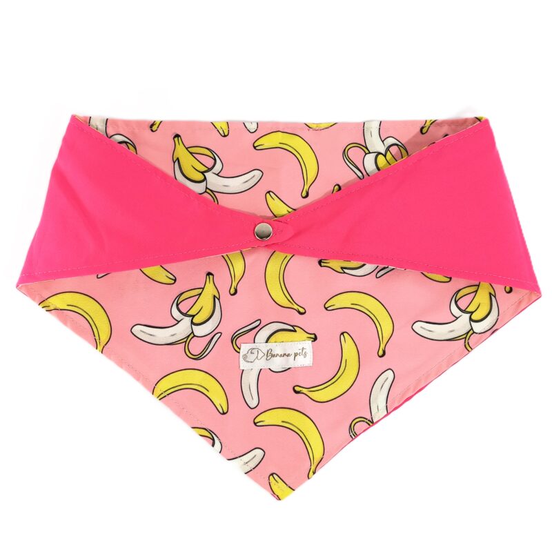 Pañoleta Bananas
