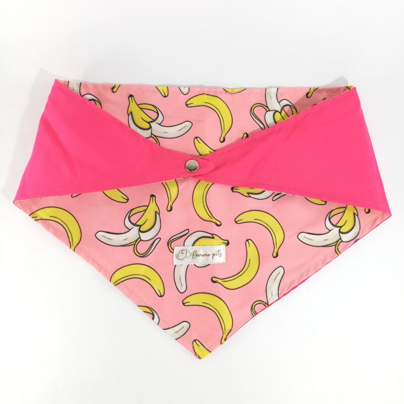 Pañoleta Bananas