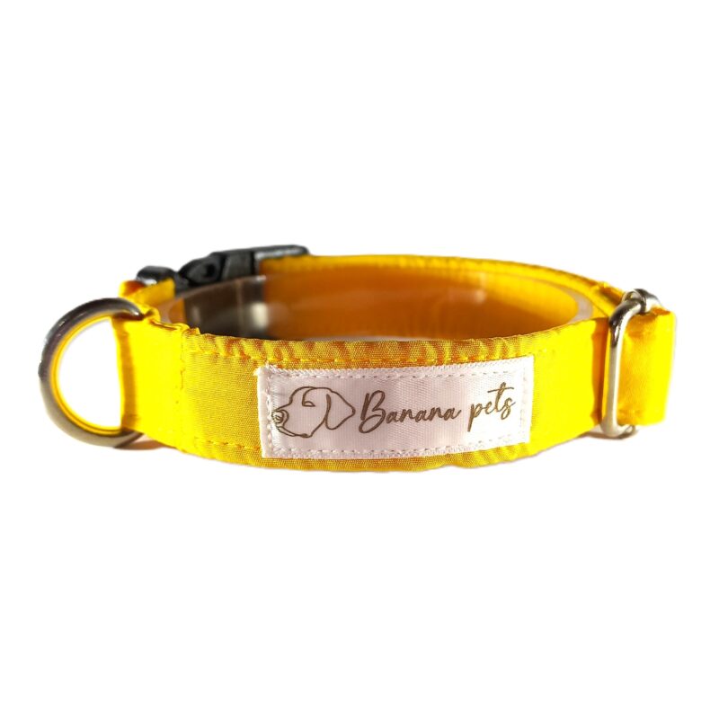 Collar Tradicional Amarillo