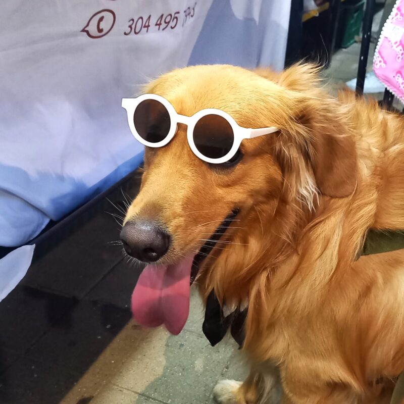 Gafas Redondas - Image 2