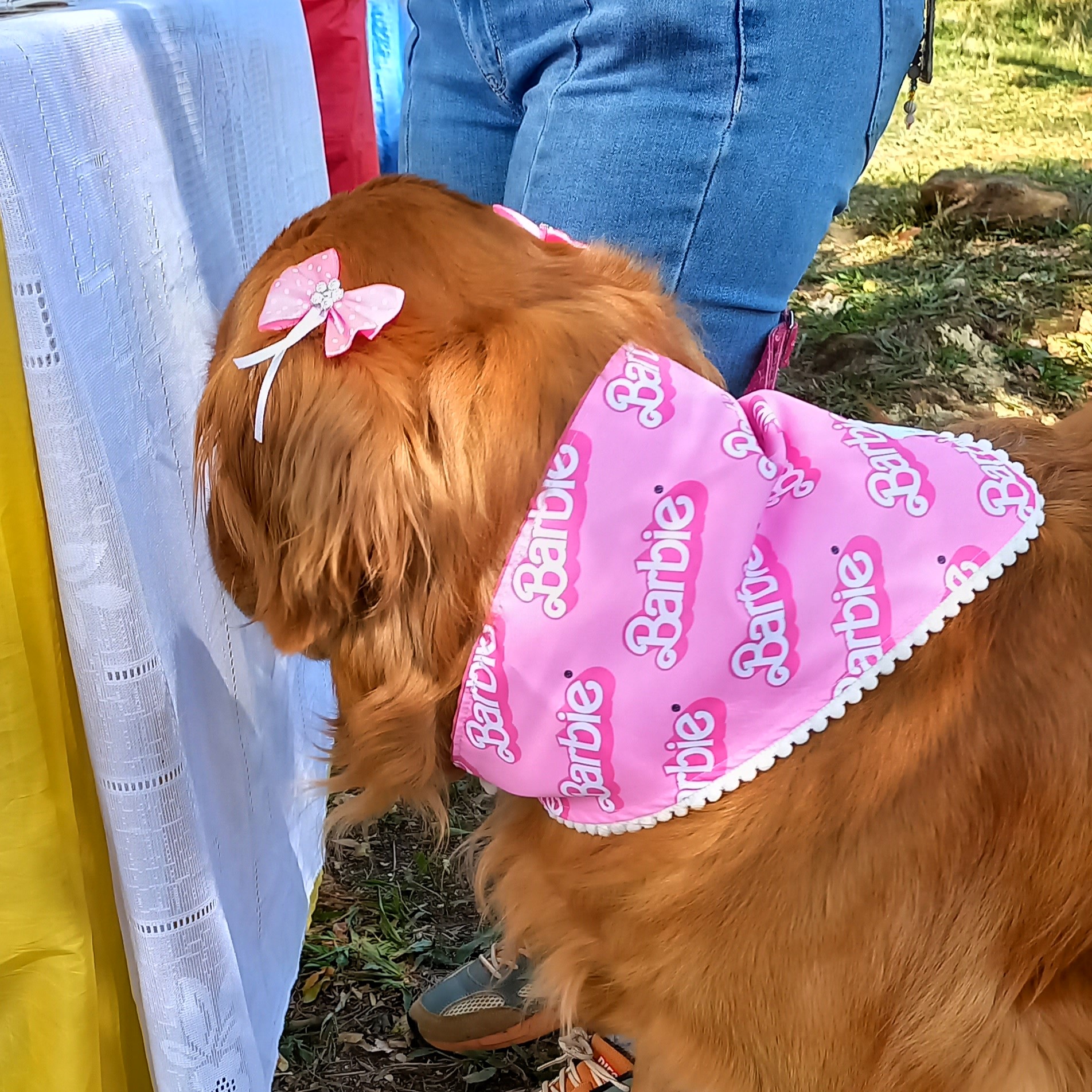 Pañoleta Barbie - Image 2