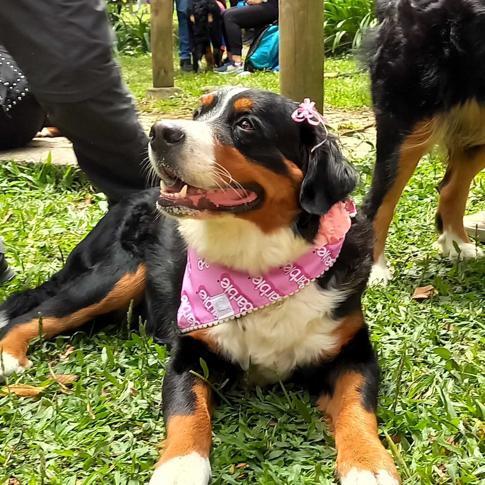 Pañoleta Barbie - Image 3