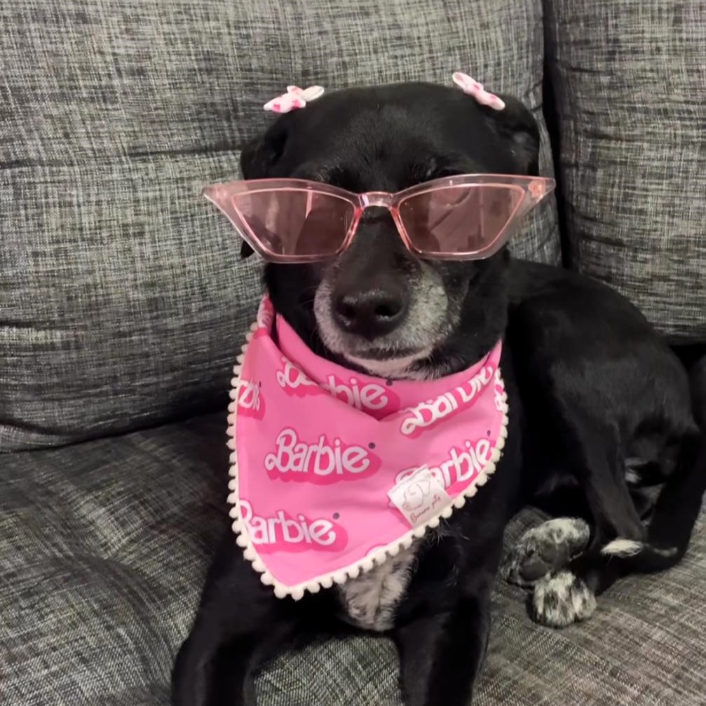 Pañoleta Barbie - Image 4