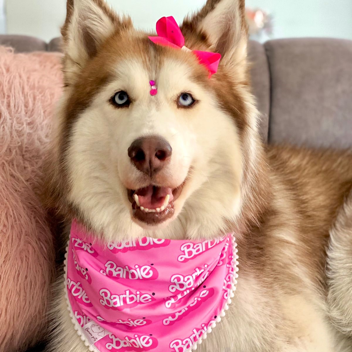 Pañoleta Barbie - Image 5