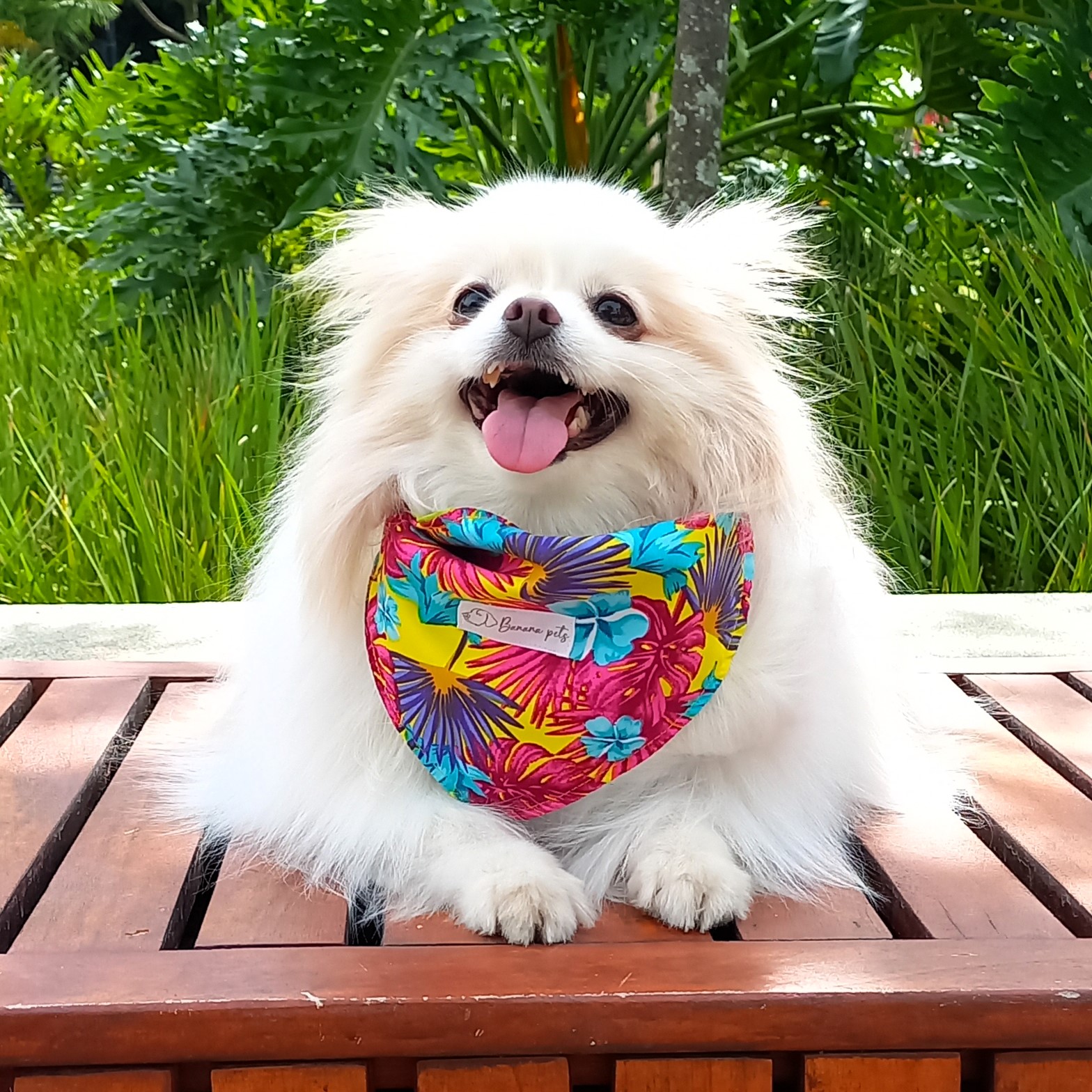 Pañoleta Feria de Flores - Image 2