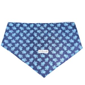 tortugas L (2)
